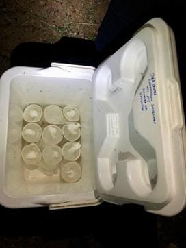 Edward is paid 100 kwacha ($10) for each five-day spell, during which he catches 300 to 400 mosquitoes. Scientists use his samples to analyse the density, types and human-biting behaviour of the female anopheles mosquito that spreads malaria. Edward is paid 100 kwacha ($10) for each five-day spell, during which he catches 300 to 400 mosquitoes. Scientists use his samples to analyse the density, types and human-biting behaviour of the female anopheles mosquito that spreads malaria.