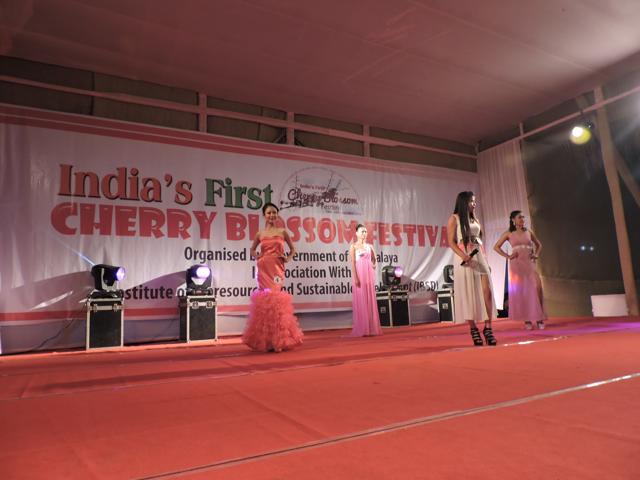 The Cherry Blossom Pageant has a round of pink-and-white outfits to match the blooms. ‘A show like this gives locals a chance to polish their skills for bigger events,’ say choreographer Priti Thapa.