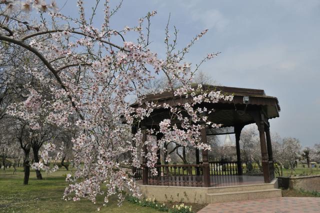 Wanda tchali, sheen gali, beyi yi bahar, wrote the Kashmiri poet Mehjoor, meaning — winter will end, the snow will melt and again spring will come. (Waseem Andrabi / HT Photo) Wanda tchali, sheen gali, beyi yi bahar, wrote the Kashmiri poet Mehjoor, meaning — winter will end, the snow will melt and again spring will come. (Waseem Andrabi / HT Photo)