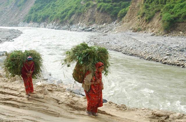 Life in the hills hasn’t improved much with migration still continuing to be a major problem. (Vinay S Kumar/Ht Photo) Life in the hills hasn’t improved much with migration still continuing to be a major problem. (Vinay S Kumar/Ht Photo)