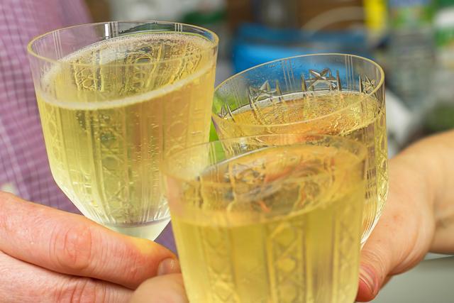 Could someone get drunk off kombucha? (Shutterstock) Could someone get drunk off kombucha? (Shutterstock)