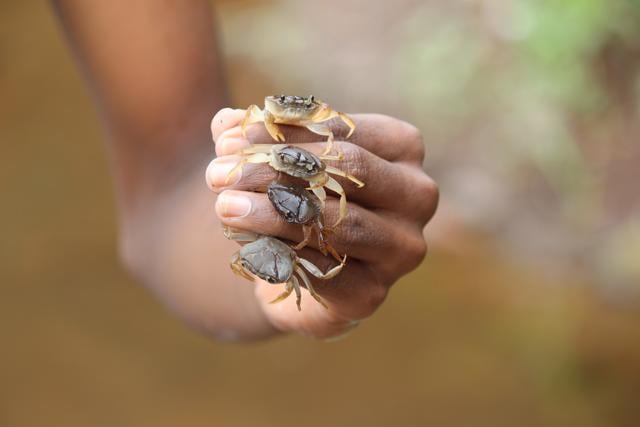 A boy from the Warli tribe catches baby crabs at the Dahisar river. (@mumbai_river_photo_project)