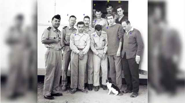 Felicette after returning from her mission. She was put to death at the French space programme’s laboratory so that the electrodes implanted in her brain could be further analysed. (Photo courtesy: kickstarter.com) Felicette after returning from her mission. She was put to death at the French space programme’s laboratory so that the electrodes implanted in her brain could be further analysed. (Photo courtesy: kickstarter.com)