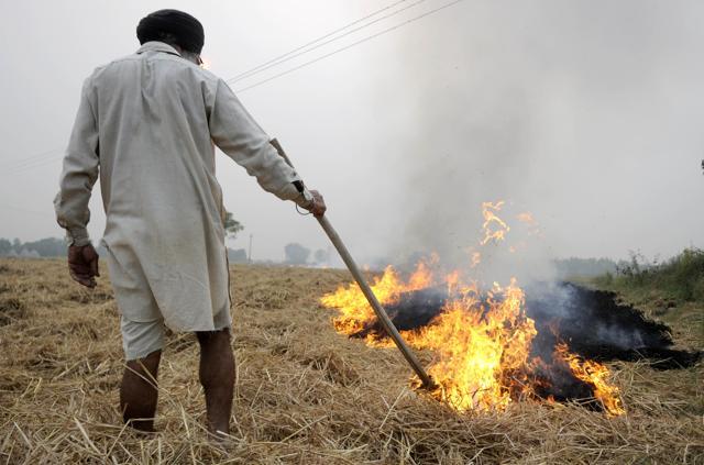 Farmer burning stubble on Sirhind road in Patiala on October 31. (Bharat Bhushan/HT Photo)
