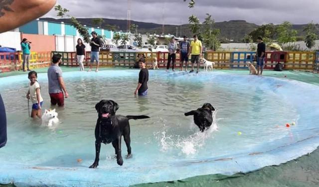 Come along for this seasons first camping night at a pet resort. (HT Photo) Come along for this seasons first camping night at a pet resort. (HT Photo)