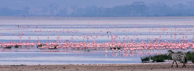 A photograph by Madhushree Birla which is part of the exhibition. A photograph by Madhushree Birla which is part of the exhibition.