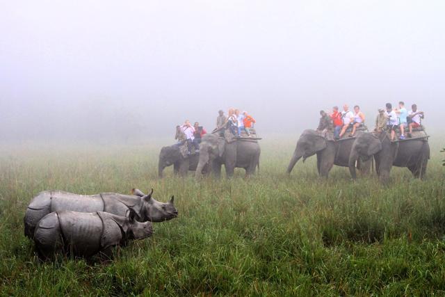 Officials of International Boxing Association (AIBA), in the country for the AIBA Women’s Youth Boxing Championships, enjoy elephant rides at the Pobitora Wildlife Sanctuary in Morigaon district of Assam on Thursday. (HT Photo) Officials of International Boxing Association (AIBA), in the country for the AIBA Women’s Youth Boxing Championships, enjoy elephant rides at the Pobitora Wildlife Sanctuary in Morigaon district of Assam on Thursday. (HT Photo)