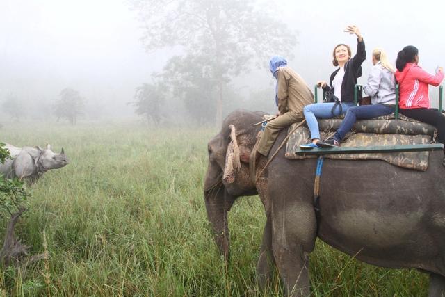 Officials of International Boxing Association (AIBA), in the country for the AIBA Women’s Youth Boxing Championships, enjoy elephant rides at the Pobitora Wildlife Sanctuary in Morigaon district of Assam on Thursday. (HT Photo) Officials of International Boxing Association (AIBA), in the country for the AIBA Women’s Youth Boxing Championships, enjoy elephant rides at the Pobitora Wildlife Sanctuary in Morigaon district of Assam on Thursday. (HT Photo)