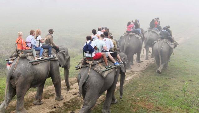 Officials of International Boxing Association (AIBA), in the country for the AIBA Women’s Youth Boxing Championships, enjoy elephant rides at the Pobitora Wildlife Sanctuary in Morigaon district of Assam on Thursday. (PTI) Officials of International Boxing Association (AIBA), in the country for the AIBA Women’s Youth Boxing Championships, enjoy elephant rides at the Pobitora Wildlife Sanctuary in Morigaon district of Assam on Thursday. (PTI)