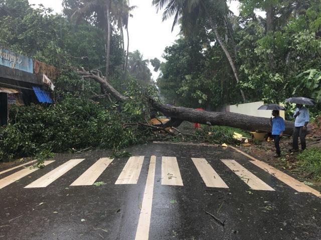 An uprooted tree blocks the road in Thiruvananthapuram. (HT PHOTO) An uprooted tree blocks the road in Thiruvananthapuram. (HT PHOTO)