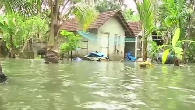 Water logging in Kochi. (ANI Twitter) Water logging in Kochi. (ANI Twitter)