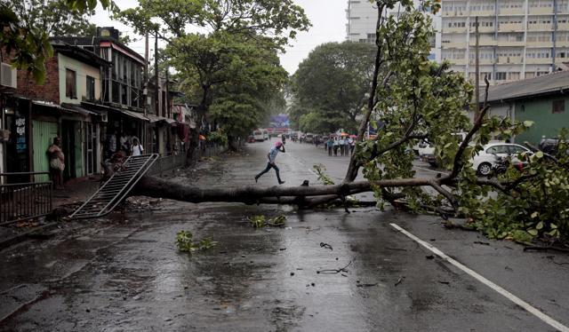 A Sri Lankan man runs for cover as it rains next to a fallen tree in Colombo, Sri Lanka, Thursday, Nov. 30, 2017. (AP) A Sri Lankan man runs for cover as it rains next to a fallen tree in Colombo, Sri Lanka, Thursday, Nov. 30, 2017. (AP)