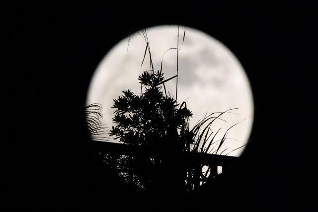A supermoon is seen through a balcony of a residential block in Hong Kong. (AFP) A supermoon is seen through a balcony of a residential block in Hong Kong. (AFP)