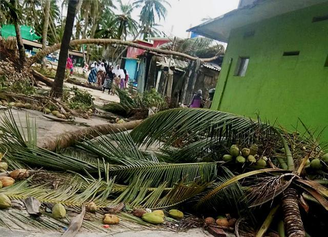 Uprooted trees after Cyclone Ockhi struck Lakshadweep. (PTI File Photo) Uprooted trees after Cyclone Ockhi struck Lakshadweep. (PTI File Photo)