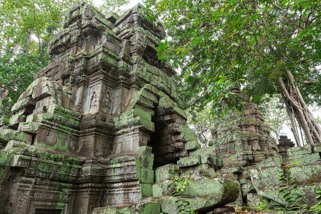 Jungle trees overrun the Ta Prohm temple in the Angkor Wat complex outside of Siem Reap, Cambodia. (Shutterstock)