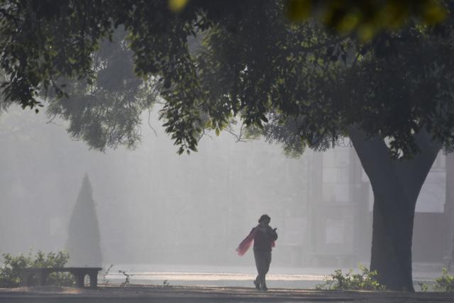 A woman walks early in the morning amid heavy smog in the garden of Humayun's Tomb in New Delhi on Wednesday. (AFP Photo) A woman walks early in the morning amid heavy smog in the garden of Humayun's Tomb in New Delhi on Wednesday. (AFP Photo)