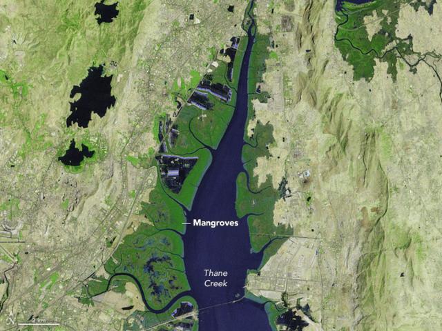 The satellite image taken by NASA in 1988 (NASA)