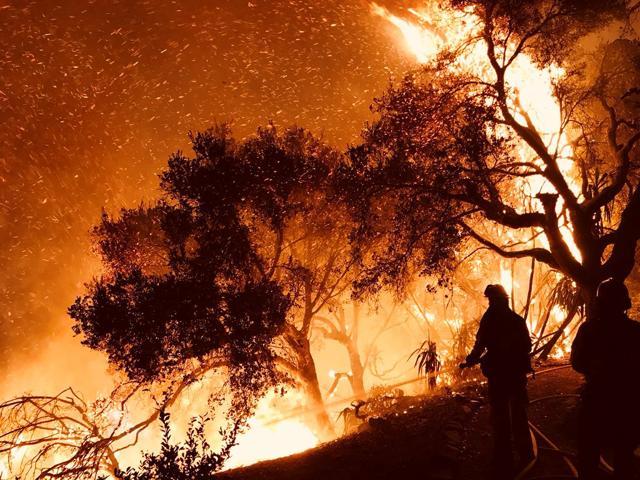 Firefighters knock down flames as they advance on homes atop Shepherd Mesa Road in Carpinteria, California, US. (Reuters Photo) Firefighters knock down flames as they advance on homes atop Shepherd Mesa Road in Carpinteria, California, US. (Reuters Photo)