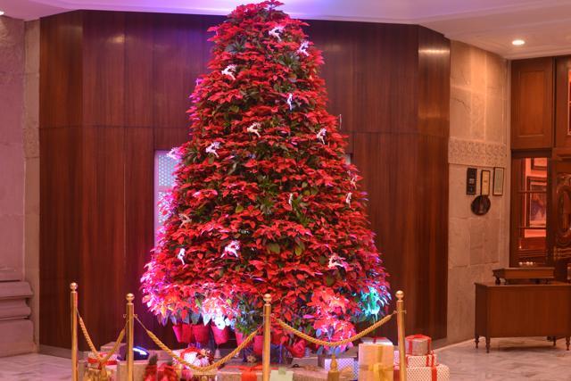 The Christmas tree at ITC Maurya has been made using 300 poinsettia plants.