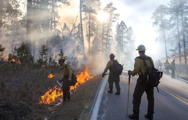 Firefighters use back burning to control the spread of a fire in Custer State Park in South Dakota on Tuesday, Dec. 12, 2017. (AP) Firefighters use back burning to control the spread of a fire in Custer State Park in South Dakota on Tuesday, Dec. 12, 2017. (AP)