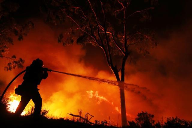 A firefighter is working on extinguishing the Lilac Fire, a fast moving wildfire in Bonsall, California, U.S., December 7, 2017. (REUTERS) A firefighter is working on extinguishing the Lilac Fire, a fast moving wildfire in Bonsall, California, U.S., December 7, 2017. (REUTERS)