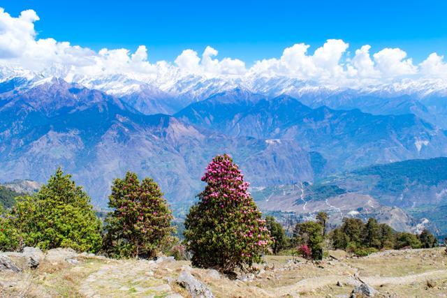 Relatively unknown, Munsiyari is mostly frequented by trekkers and mountaineers. (Shutterstock) Relatively unknown, Munsiyari is mostly frequented by trekkers and mountaineers. (Shutterstock)