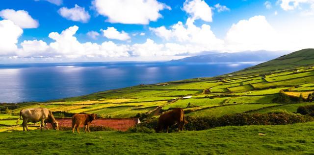 Corvo island in Azores, Portugal (Shutterstock) Corvo island in Azores, Portugal (Shutterstock)