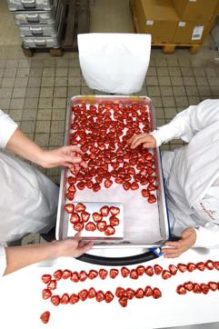 Heart-shaped marzipan passing along a conveyor belt at the headquarters of the traditional confectionary maker JG Niederegger GmbH in Luebeck. (AFP) Heart-shaped marzipan passing along a conveyor belt at the headquarters of the traditional confectionary maker JG Niederegger GmbH in Luebeck. (AFP)