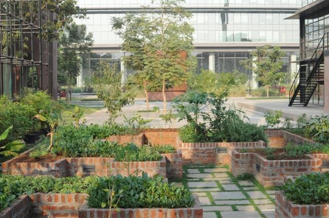 In Godrej’s Vikhroli property, The Trees, you can opt for a family farm or be part of a community agro effort. In Godrej’s Vikhroli property, The Trees, you can opt for a family farm or be part of a community agro effort.
