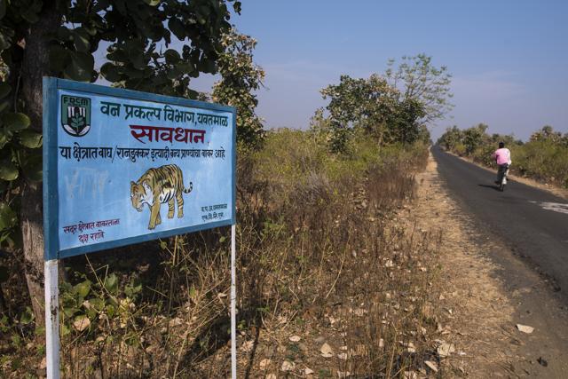The forest department has put up signs and red flags on roads that they consider danger zones. (Pratik Chorge/HT Photo)