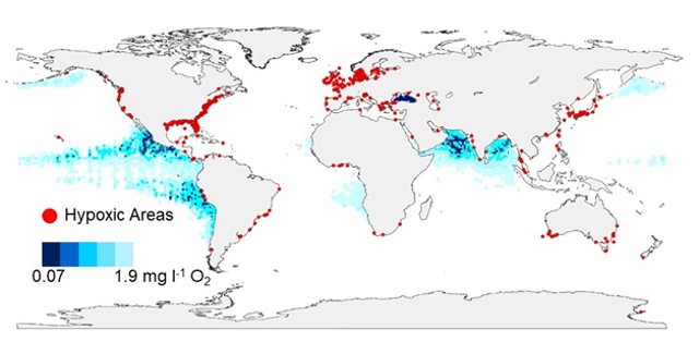 Map showing coastal sites where anthropogenic nutrients have exacerbated or caused oxygen declines to <2 mg O2 l-1 (<63µmol O2 l-1 ) (red dots), and ocean oxygen minimum zones at 300m depth (blue shades). (Declining oxygen in the global ocean and coastal waters, Science) Map showing coastal sites where anthropogenic nutrients have exacerbated or caused oxygen declines to <2 mg O2 l-1 (<63µmol O2 l-1 ) (red dots), and ocean oxygen minimum zones at 300m depth (blue shades). (Declining oxygen in the global ocean and coastal waters, Science)