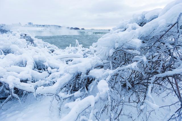 Ice and snow cover branches near the brink of the Horseshoe Falls in Niagara Falls, Ontario, Canada, on January 3, 2018. (Reuters) Ice and snow cover branches near the brink of the Horseshoe Falls in Niagara Falls, Ontario, Canada, on January 3, 2018. (Reuters)