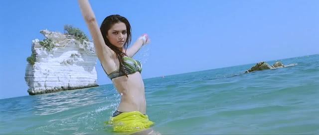 As Sandy in Housefull. As Sandy in Housefull.