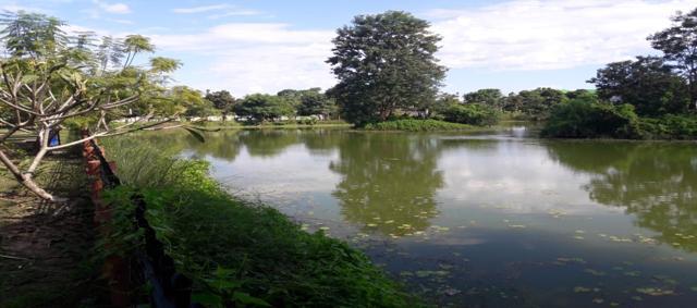 A water conservation site at Dibrugarh University, Assam. A water conservation site at Dibrugarh University, Assam.