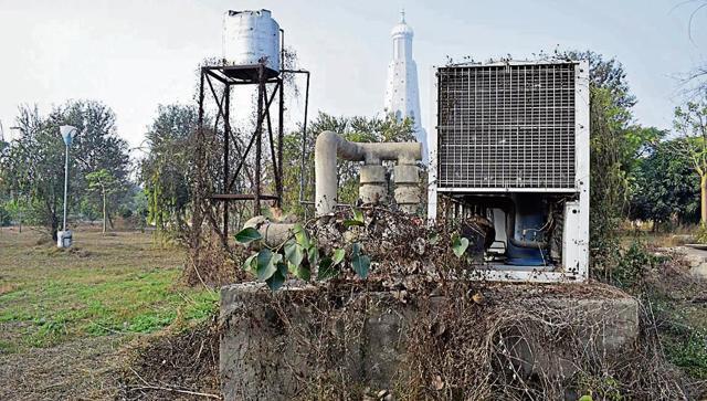 Wild growth is covering the transformer. (Sikander Singh/HT)