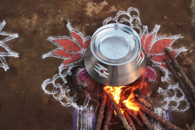 On the day of the festival, rice is boiled and given as an offering to the sun god. (Shutterstock)