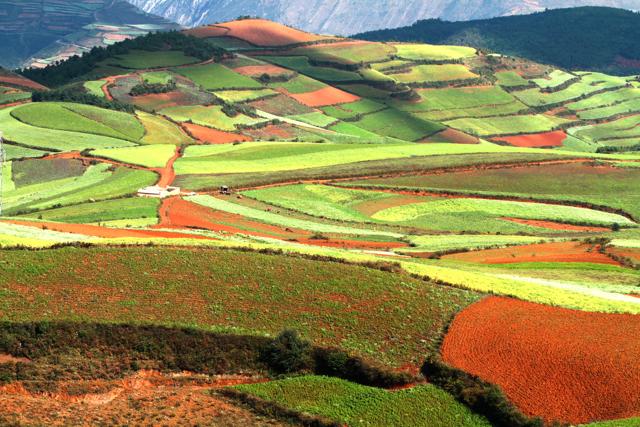 Dongchuan Red Lane is known for its striking red hued paths. (Getty Images/iStockphoto) Dongchuan Red Lane is known for its striking red hued paths. (Getty Images/iStockphoto)