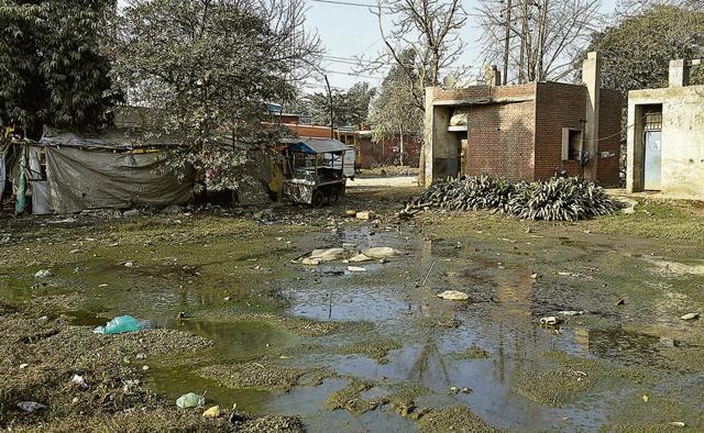 Sewage floods many parks in the Focal Point area in Ludhiana. Industrialists say garbage is being dumped in many parks, that the civic body has failed to clear. (Gurpreet Singh/HT) Sewage floods many parks in the Focal Point area in Ludhiana. Industrialists say garbage is being dumped in many parks, that the civic body has failed to clear. (Gurpreet Singh/HT)
