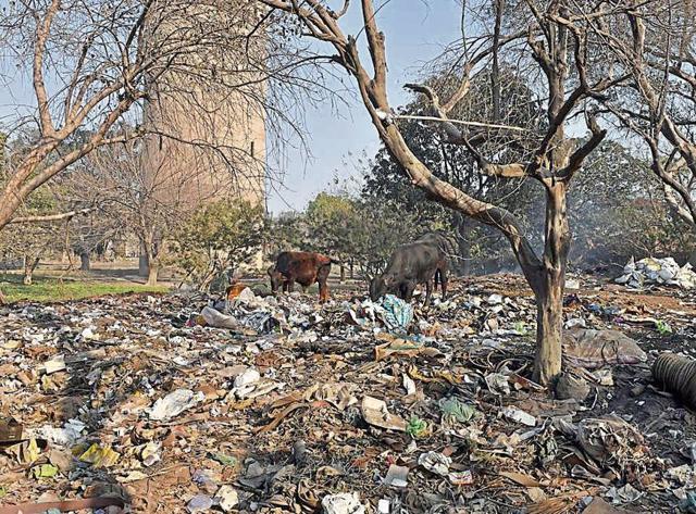 Some parks housing water supply tank are no less than garbage dumps now, posing serious health hazards to the residents living nearby. (Gurpreet Singh/HT) Some parks housing water supply tank are no less than garbage dumps now, posing serious health hazards to the residents living nearby. (Gurpreet Singh/HT)