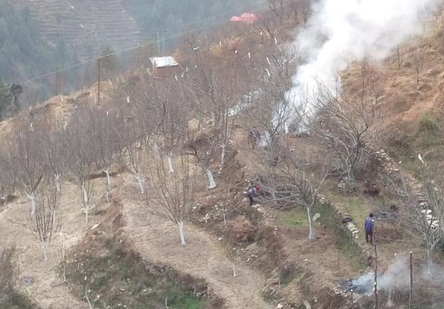 A dry apple farm in Himachal Pradesh. (HT File Photo) A dry apple farm in Himachal Pradesh. (HT File Photo)