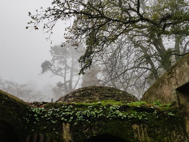 The Moorish fort in Sintra. (Picture courtesy: Abhimanyu/Am Klicks) The Moorish fort in Sintra. (Picture courtesy: Abhimanyu/Am Klicks)