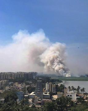 Smoke billows from a fire in middle of the wetlands of the Bellandur lake. (PTI) Smoke billows from a fire in middle of the wetlands of the Bellandur lake. (PTI)