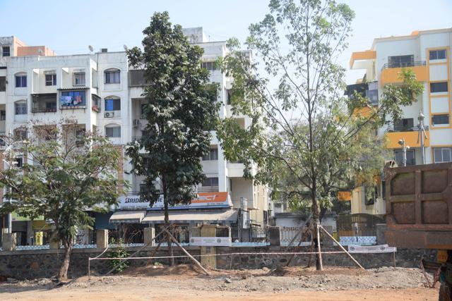 Replantation of trees that fall under the Metro project areas is also being carried out. (HT PHOTO) Replantation of trees that fall under the Metro project areas is also being carried out. (HT PHOTO)