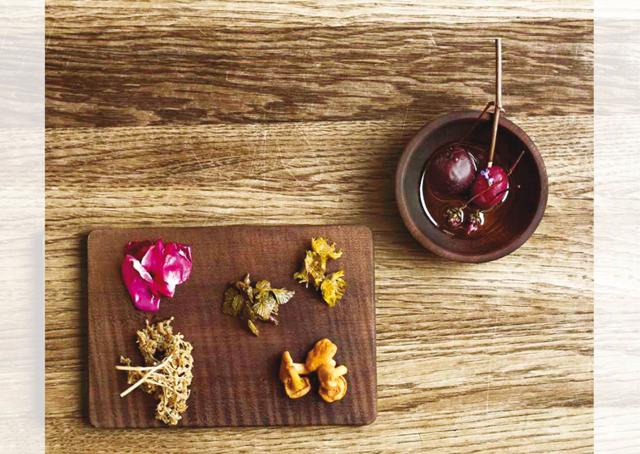 Elderflower, rose petals, chanterelles and gooseberries pickles at Noma, Copenhagen (Laura L.P./HdG Photography) Elderflower, rose petals, chanterelles and gooseberries pickles at Noma, Copenhagen (Laura L.P./HdG Photography)