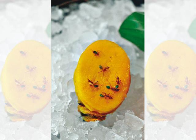 Mango covered with green ants was the dessert in Noma Australia (Rupali Dean) Mango covered with green ants was the dessert in Noma Australia (Rupali Dean)
