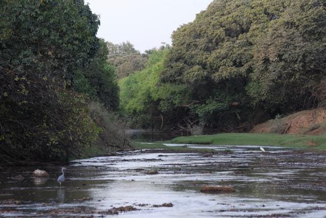A river that runs through the park. (Wikimedia Commons ) A river that runs through the park. (Wikimedia Commons )