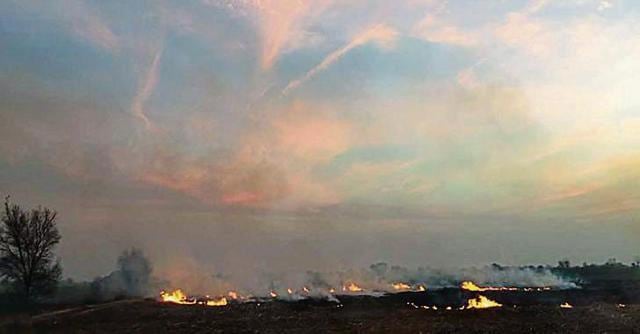 Stubble fires, smoke and mesmerising clouds at village Kubheri. (PHOTO: VIKRAM JIT SINGH) Stubble fires, smoke and mesmerising clouds at village Kubheri. (PHOTO: VIKRAM JIT SINGH)