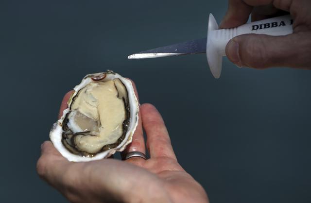 Ramie Murray, Scottish owner and founder of the Dibba Bay Oyster Farm, presents a fresh oyster at the company's harvesting and processing facilities in Dibba. (AP/Kamran Jebreili) Ramie Murray, Scottish owner and founder of the Dibba Bay Oyster Farm, presents a fresh oyster at the company's harvesting and processing facilities in Dibba. (AP/Kamran Jebreili)
