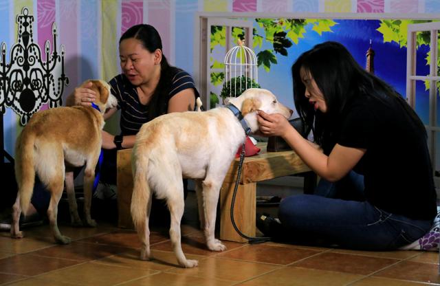 Pet lovers with shelter dogs at the Philippine Animal Welfare Society (PAWS) headquarters. (Reuters)