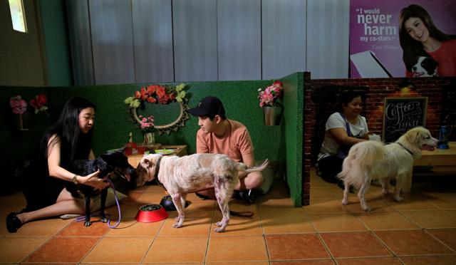 “Date with Dogs" aims to further strengthen pet owner's love for their animal pals. (Reuters)